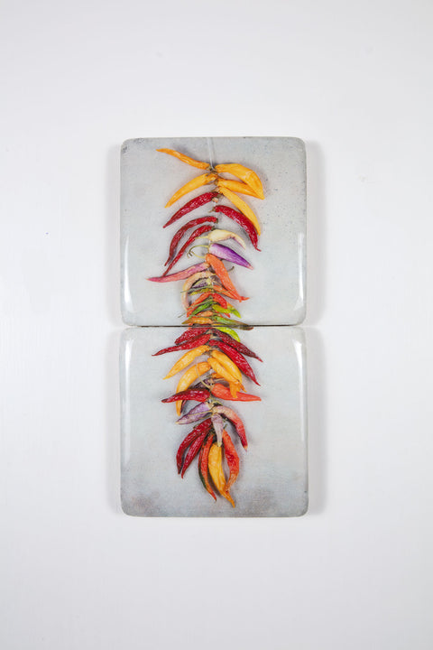 String of coloured chili peppers on grey *2 (20cm x 40cm)
