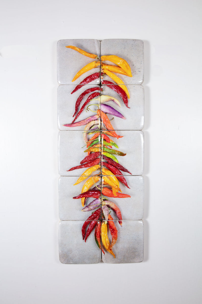 String Peppers String of coloured chili peppers on grey (40cm x 100cm) – Stigerwoods