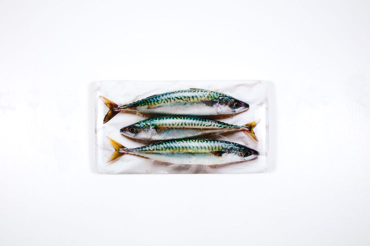 Three mackerels (35cm x 20cm)