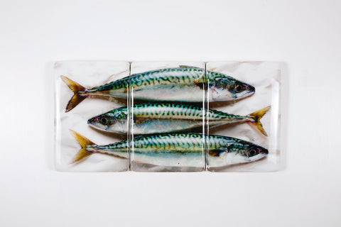 Three mackerels (60cm x 29cm)