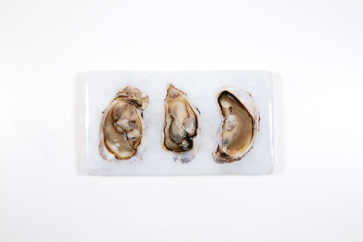 Three open oysters (35cm x 20cm)