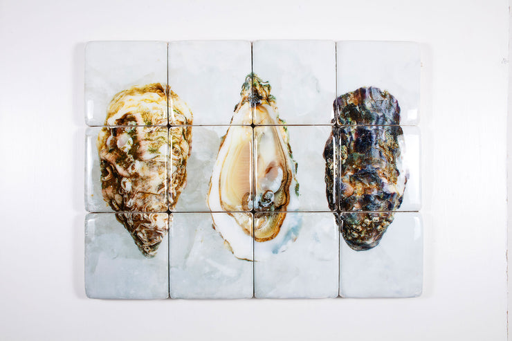 Three oysters (80cm x 60cm)