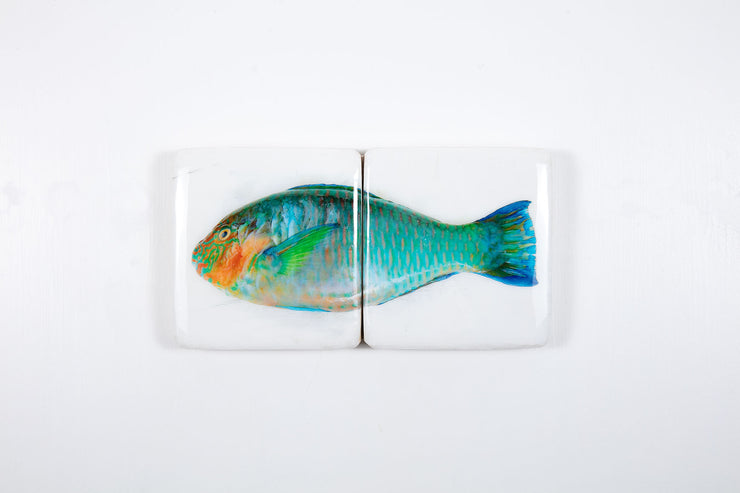 Turquoise parrot fish *2 (40cm x 20cm)