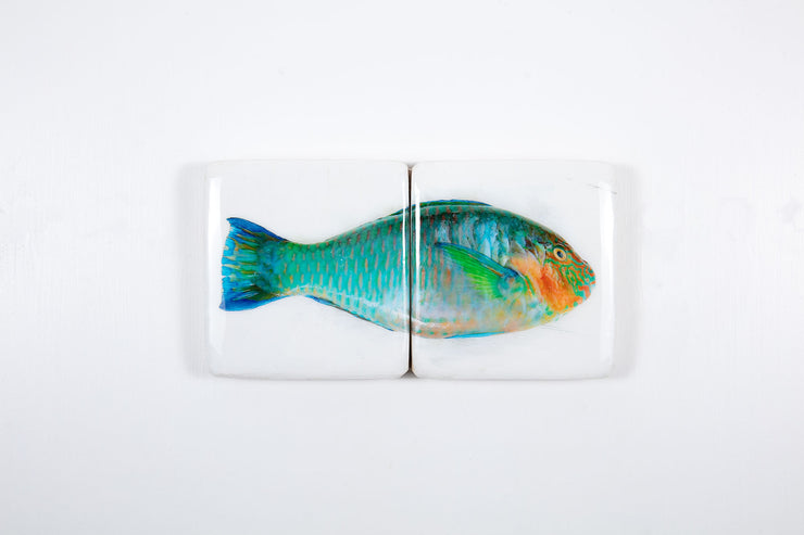 Turquoise parrot fish *2 (40cm x 20cm)