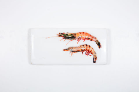 Two coloured giant shrimps (40cm x 20cm)