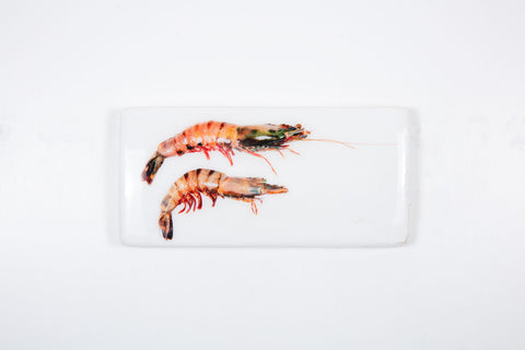 Two coloured giant shrimps (40cm x 20cm)