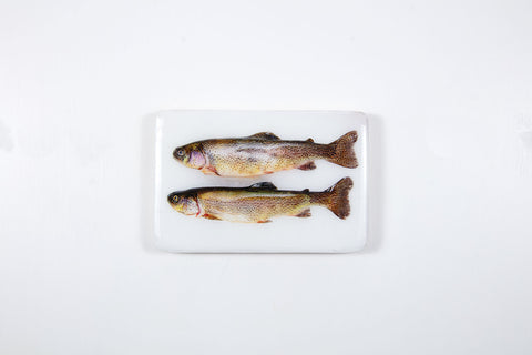 Two coloured trouts (29cm x 20cm)