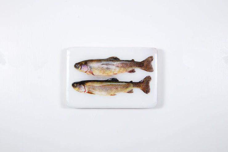 Two coloured trouts (29cm x 20cm)