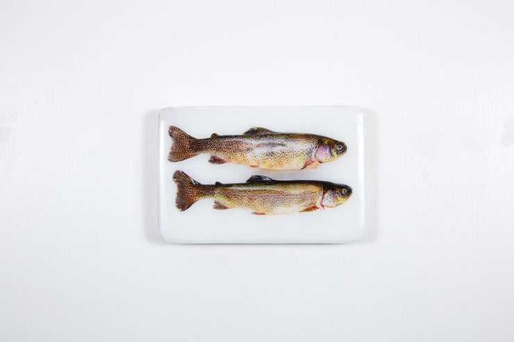 Two coloured trouts (29cm x 20cm)