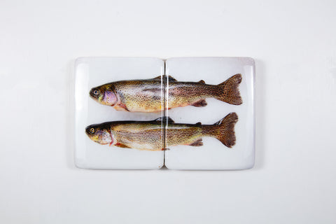 Two coloured trouts (40cm x 24cm)