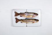 Two coloured trouts (40cm x 24cm)