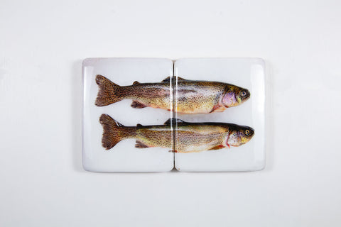 Two coloured trouts (40cm x 24cm)