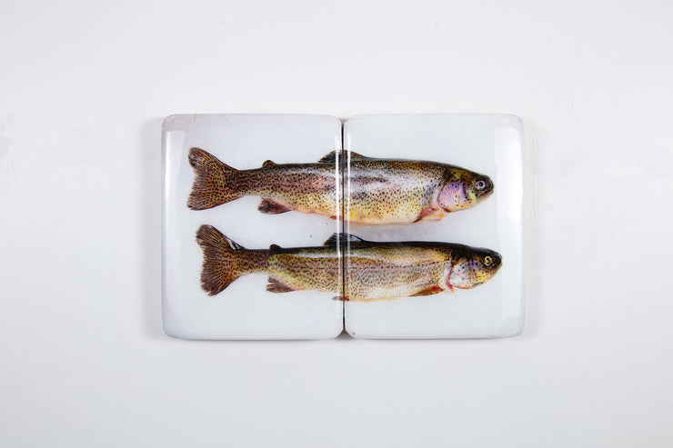 Two coloured trouts (40cm x 24cm)