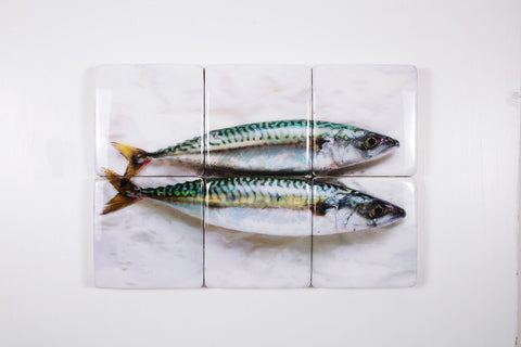Two mackerels on paper (60cm x 40cm)