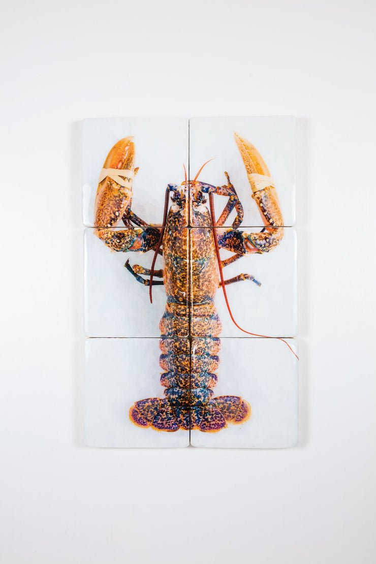 Yellow european lobster (40cm x 60cm)