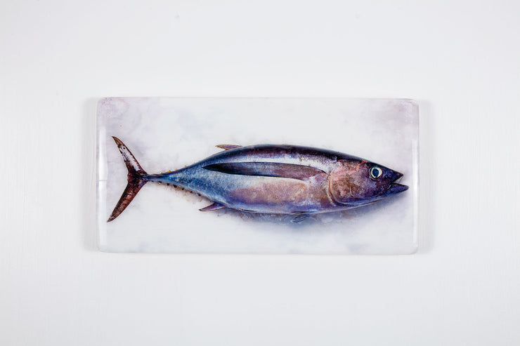 Albacore tuna (40cm x 20cm)