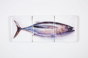 Albacore tuna (60cm x 24cm)