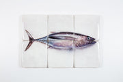 Albacore tuna (60cm x 40cm)
