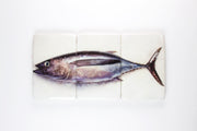 Albacore tuna (60cm x 29cm)