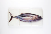 Albacore tuna (60cm x 29cm)