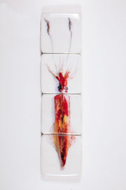 Azorean squid (80cm x 20cm)