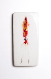 Azorean squid (40cm x 20cm)