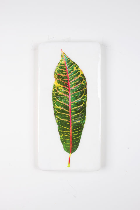 Balinese leaf (20cm x 40cm)