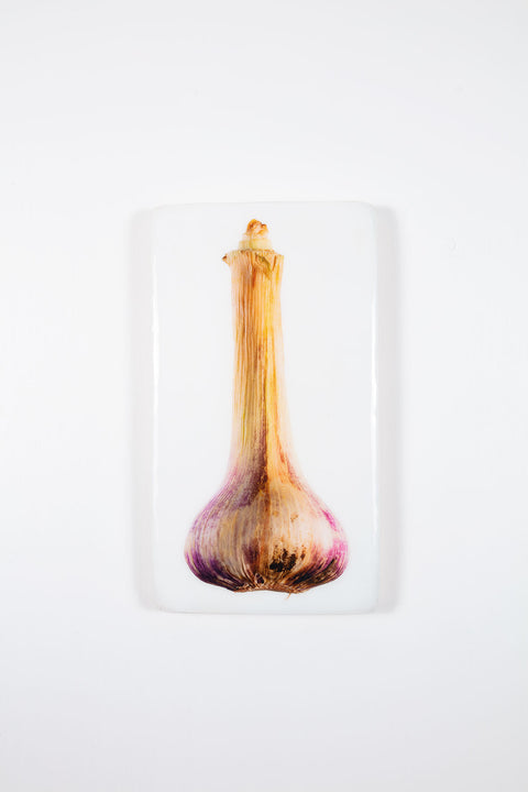 Fresh garlic (20cm x 35cm)