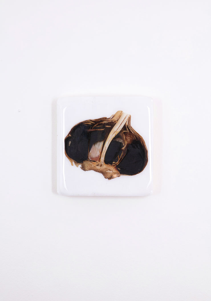 Black garlic (20cm x 20cm)