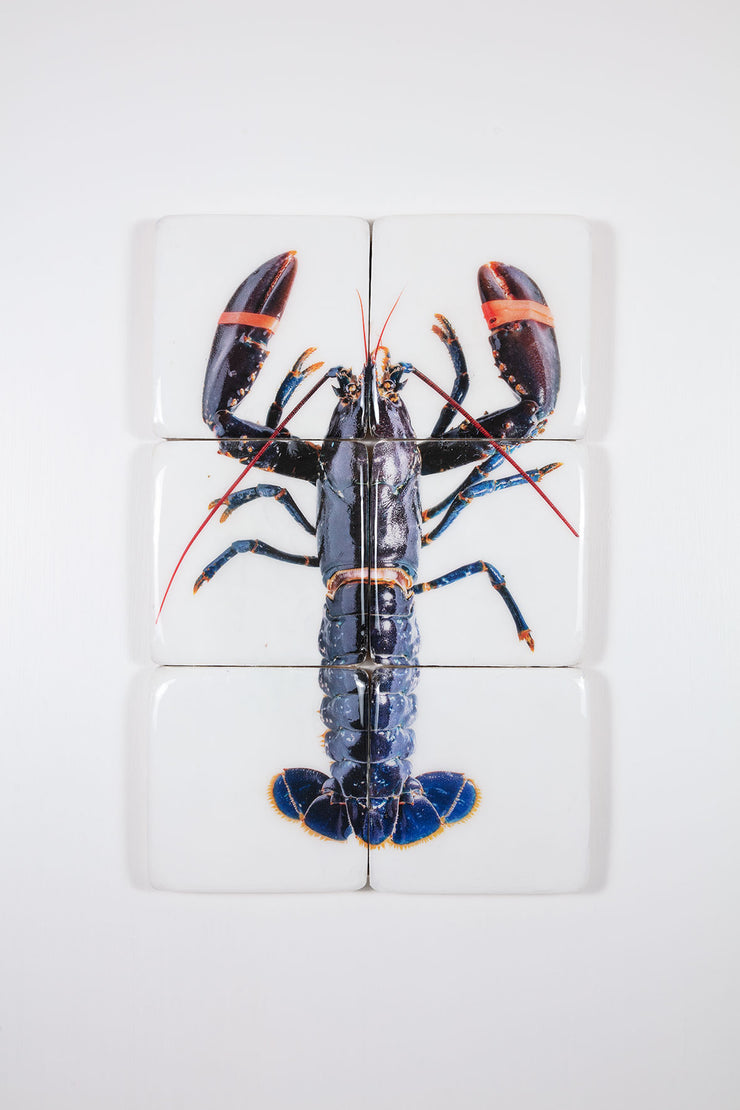 Blue European lobster (40cm x 60cm)