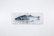Blue sea bass (48cm x 20cm)