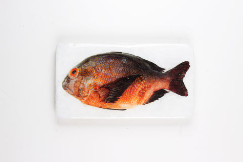 Brown orange Balinese fish (35cm x 20cm)