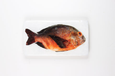 Brown orange Balinese fish (35cm x 20cm)