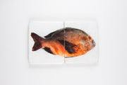 Brown orange Balinese fish (40cm x 24cm)
