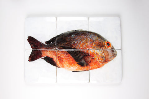Brown orange Balinese fish (60cm x 40cm)