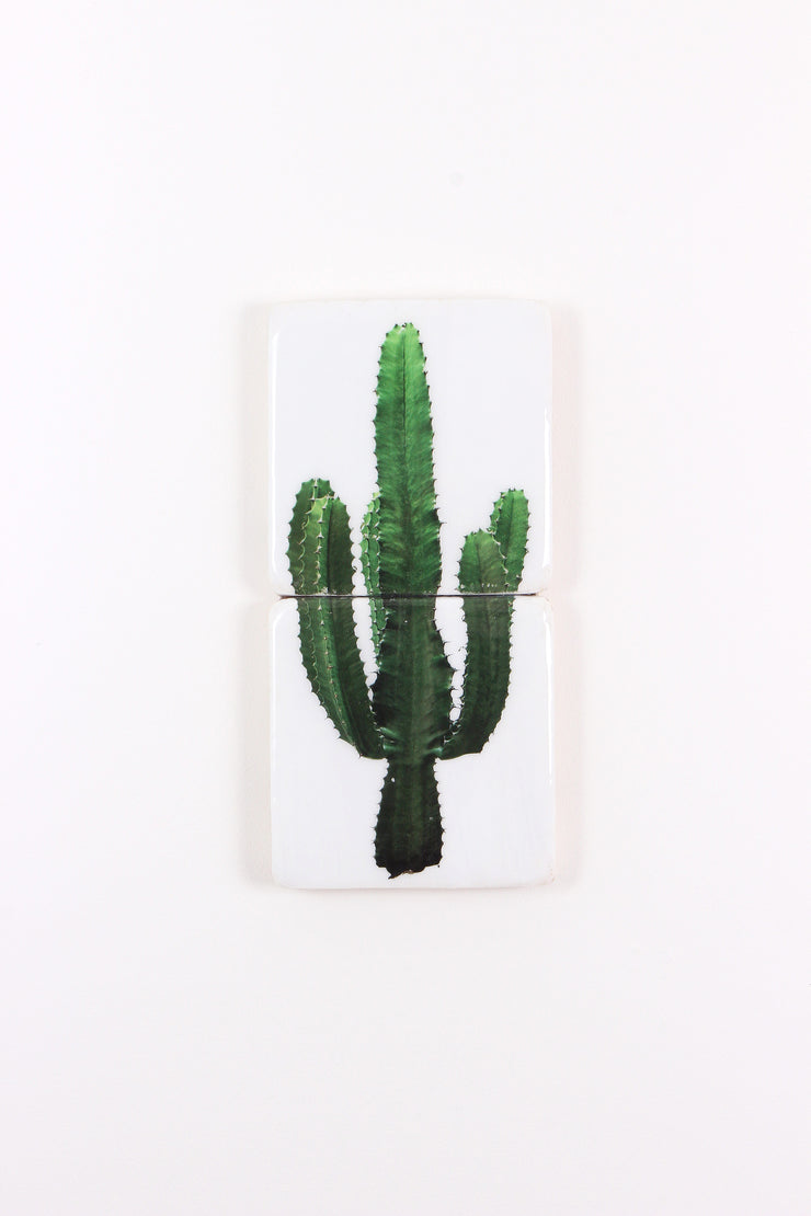 Cactus *2 (20cm x 40cm)