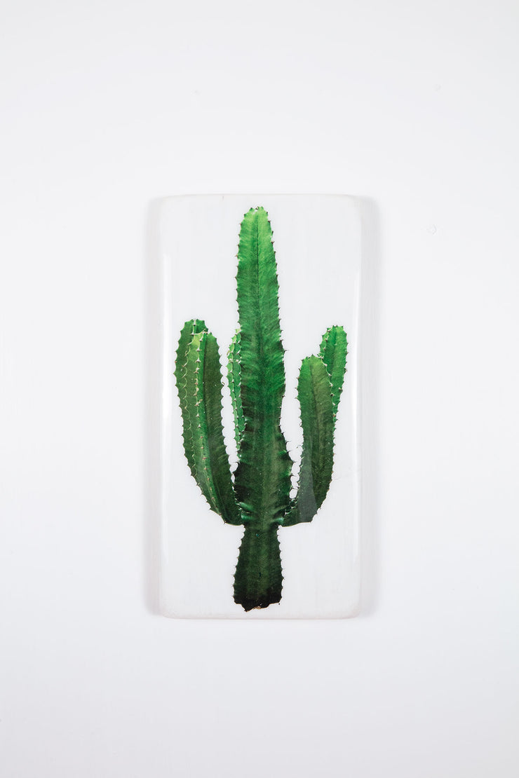 Cactus (20cm x 40cm)