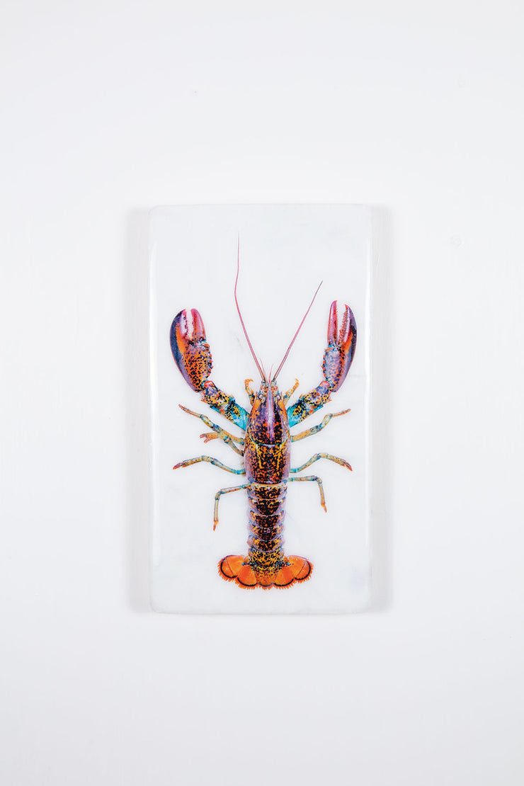 Canner lobster (20cm x 35cm)