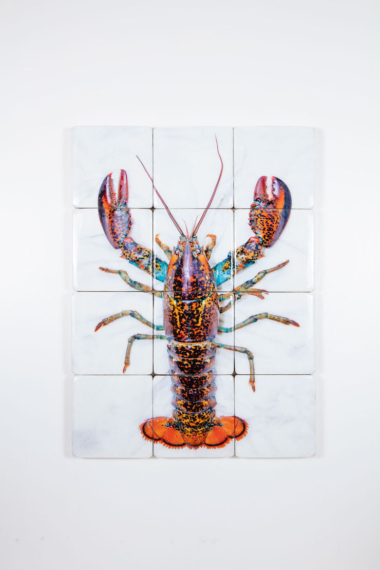 Canner lobster (60cm x 80cm)