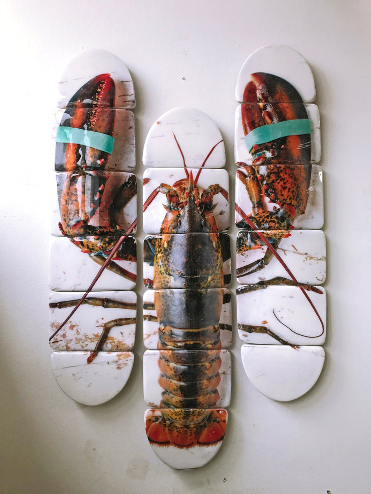 Canner lobster skateboard decks