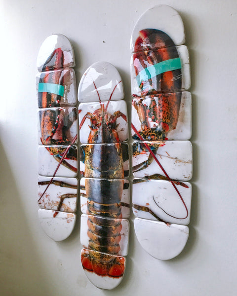 Canner lobster skateboard decks