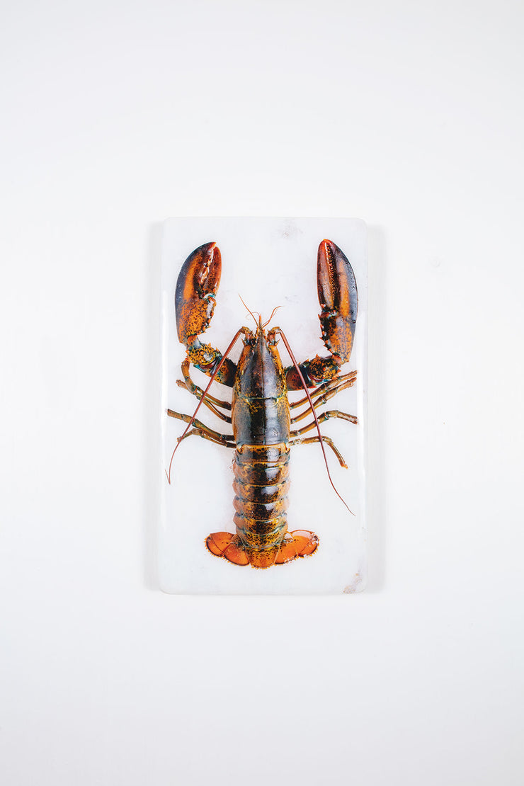 Canner lobster on ice (20cm x 35cm)