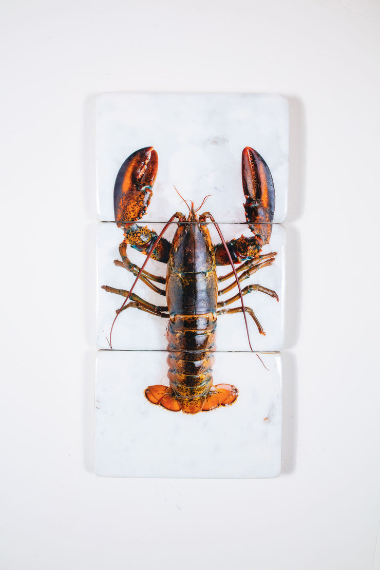 Canner lobster on ice (29cm x 60cm)