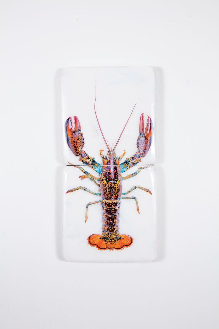 Canner lobster *2 (20cm x 40cm)