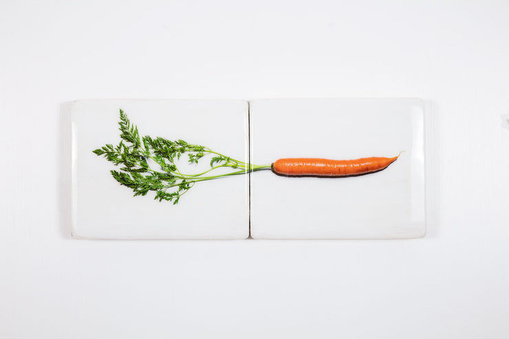 Carrot (48cm x 20cm)
