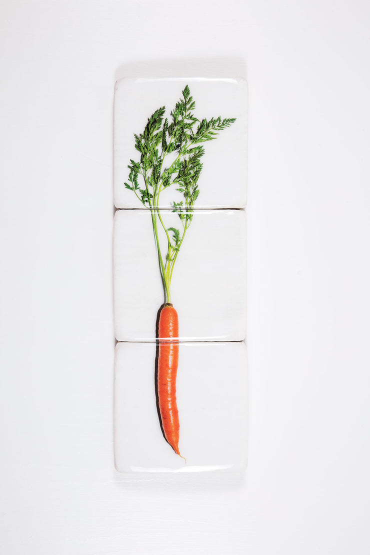 Carrot (60cm x 20cm)