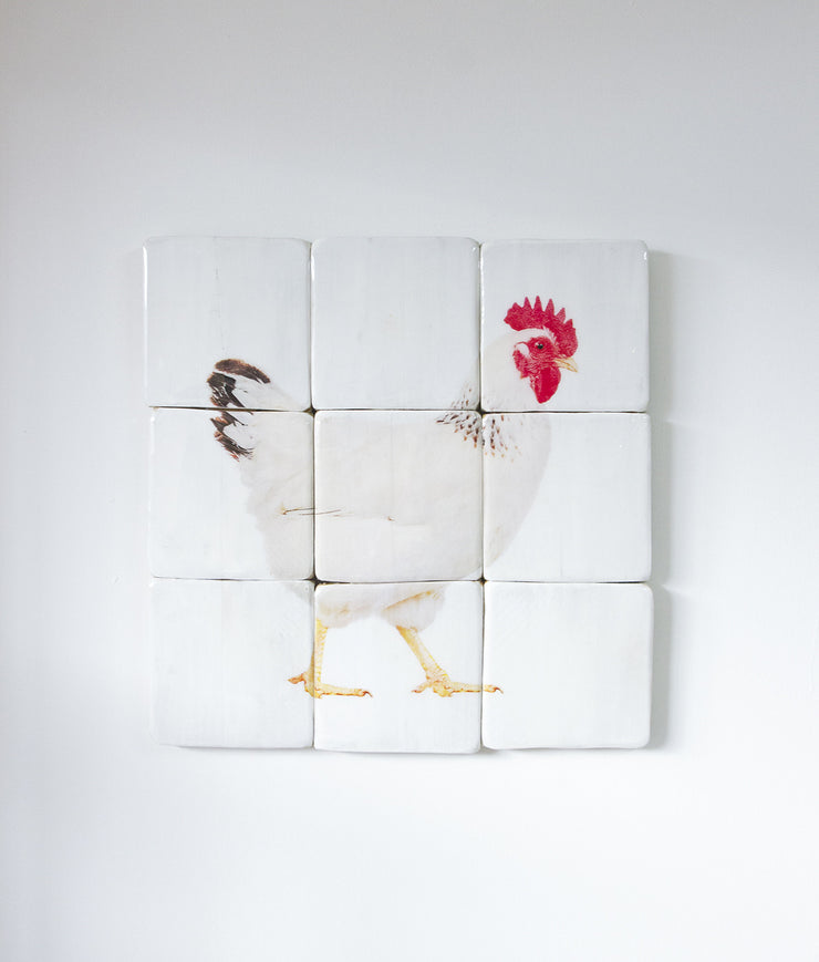 Chicken (60cm x 60cm) - stigerwoods