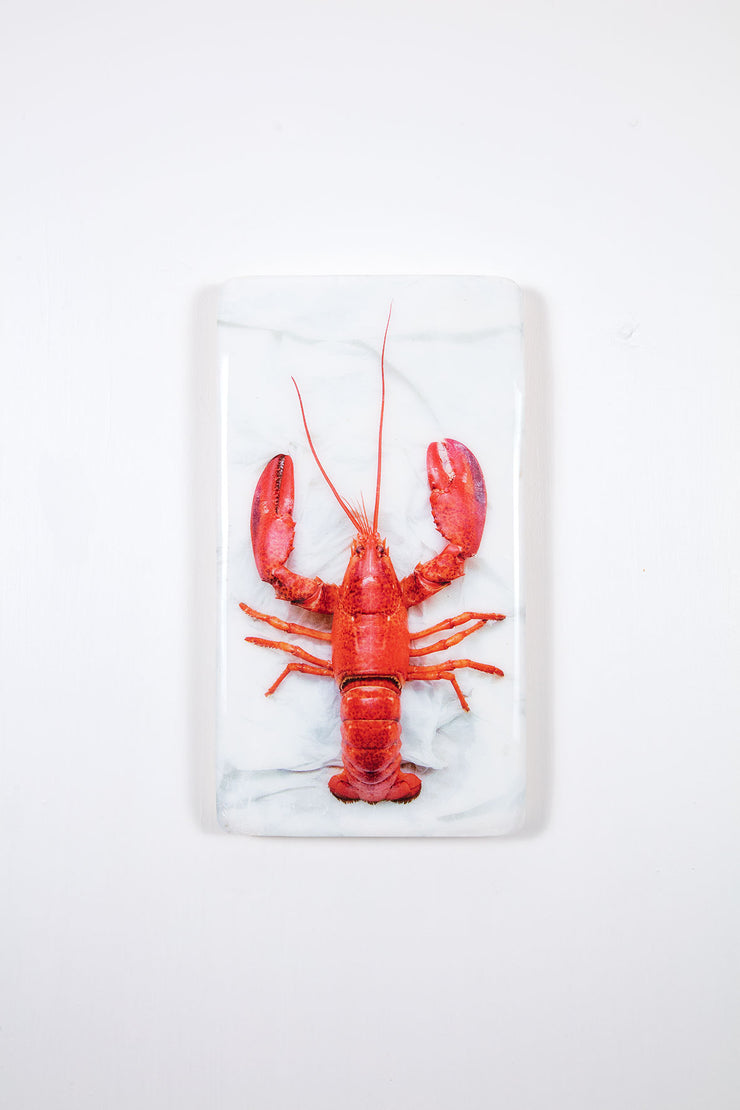Cooked Oosterschelde lobster (20cm x 35cm)
