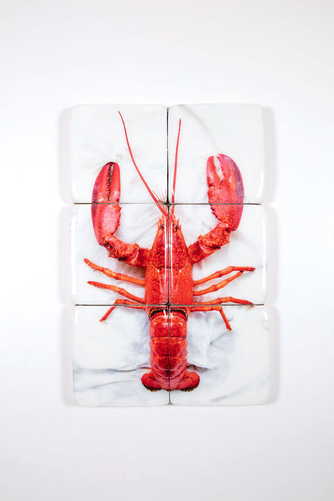 Cooked Oosterschelde lobster (40cm x 60cm)