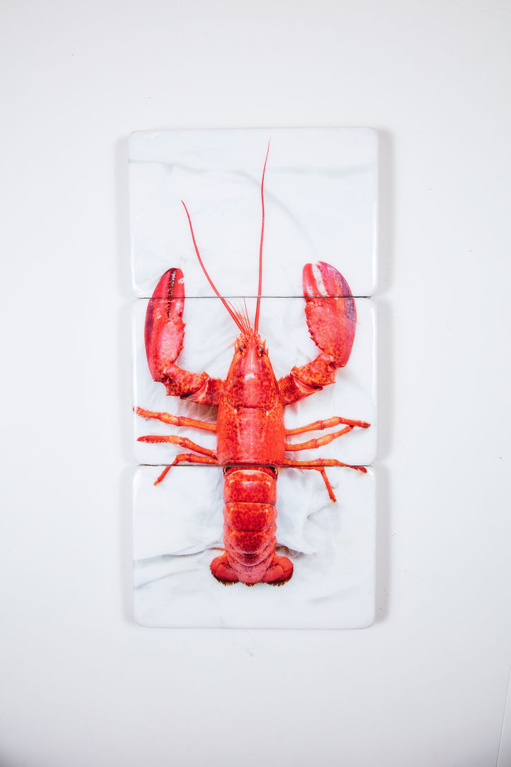 Cooked Oosterschelde lobster (29cm x 60cm)